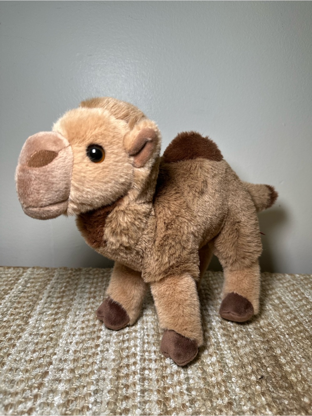 Douglas Gobie the Camel